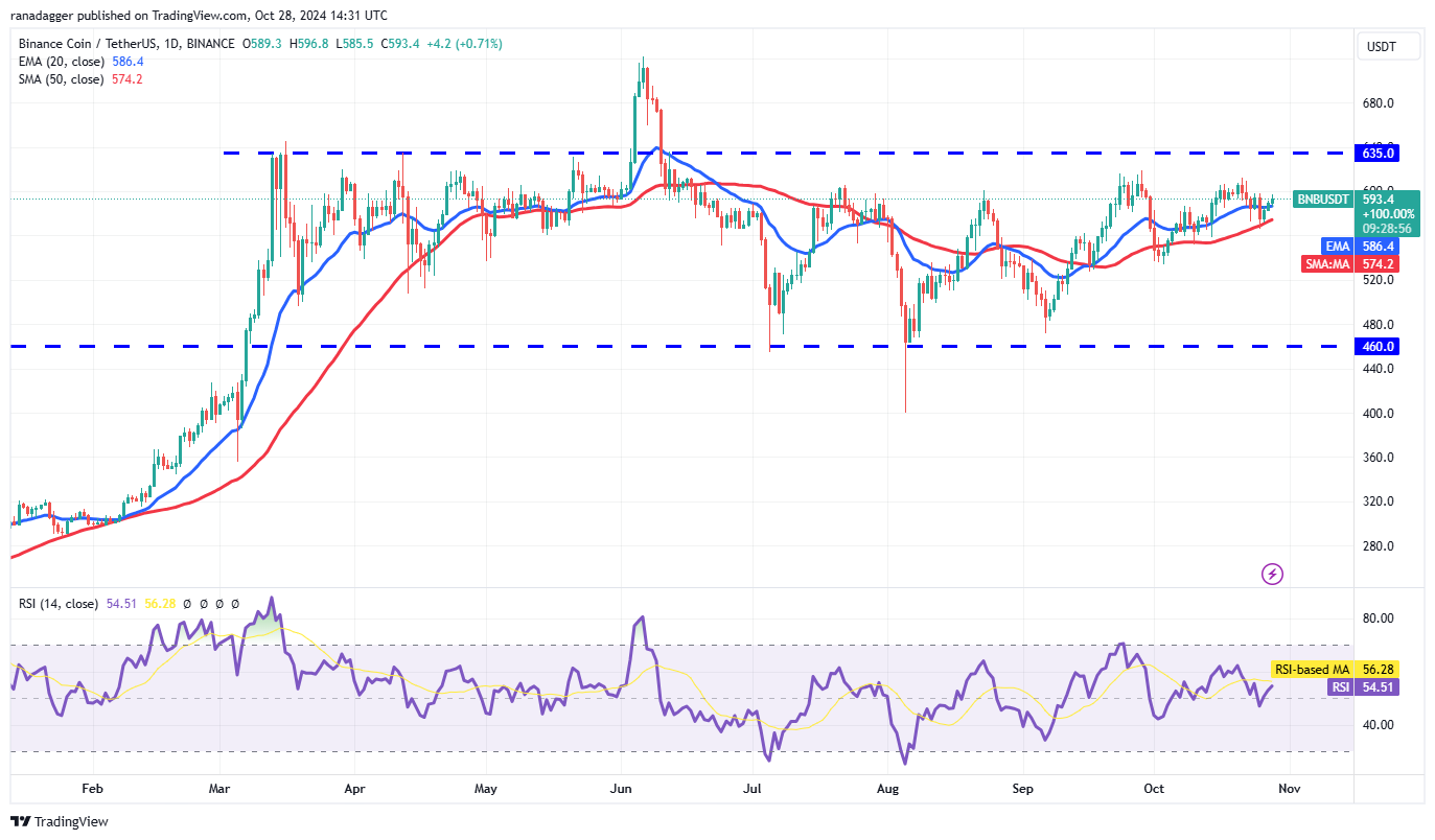 Biểu đồ giá BNB. Ảnh: Tradingview